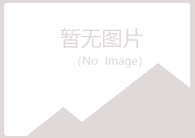 大庆红岗谷雪采矿有限公司